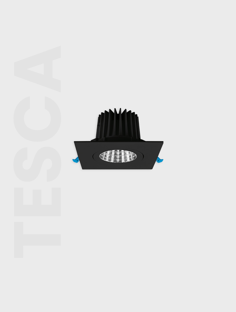 Masialux MD 101-1-100 Recessed Lighting armatürü