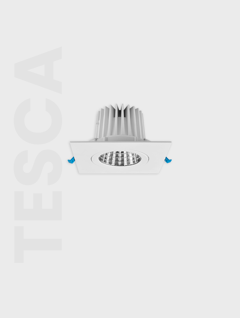 Masialux MD 101-1-118 Receessed Lighting Recessed Lighting armatürü