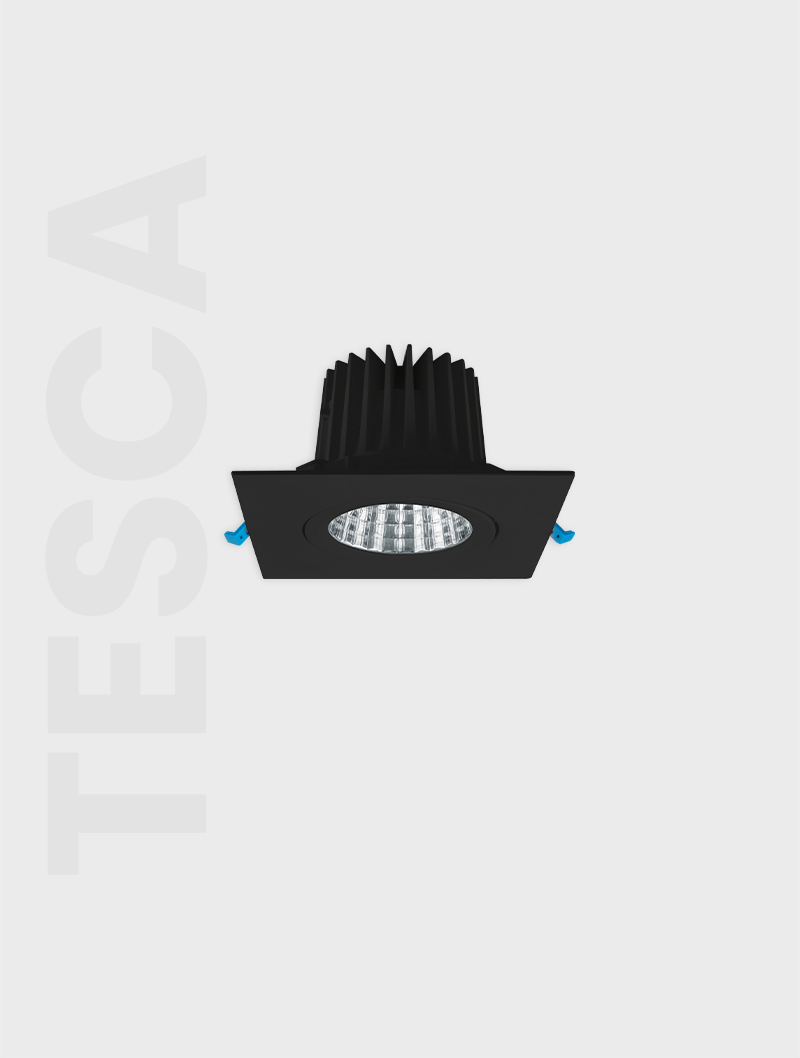 Masialux MD 101-1-118 Recessed Lighting armatürü