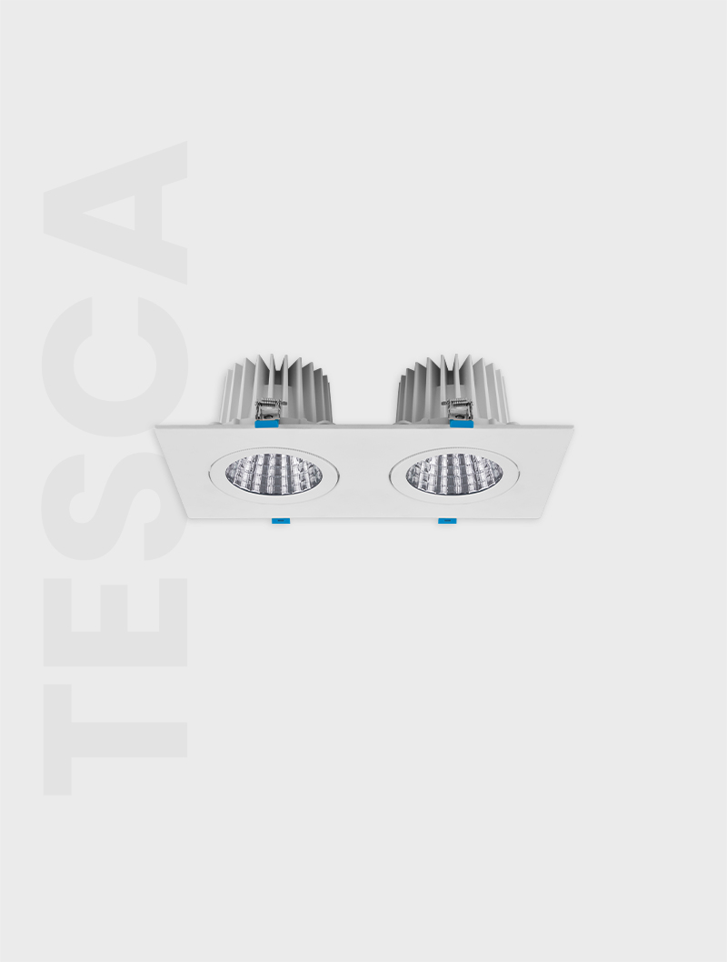 Masialux MD 101-2-100 Receessed Lighting Recessed Lighting armatürü