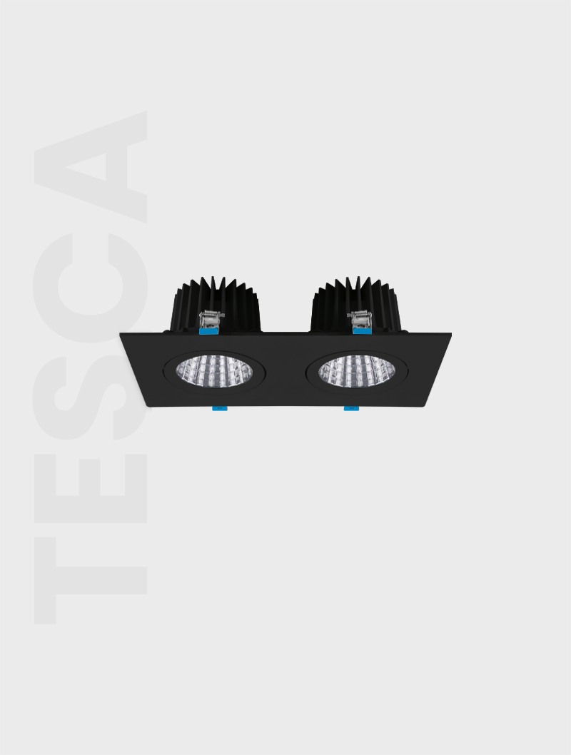 Masialux MD 101-2-100 Recessed Lighting armatürü