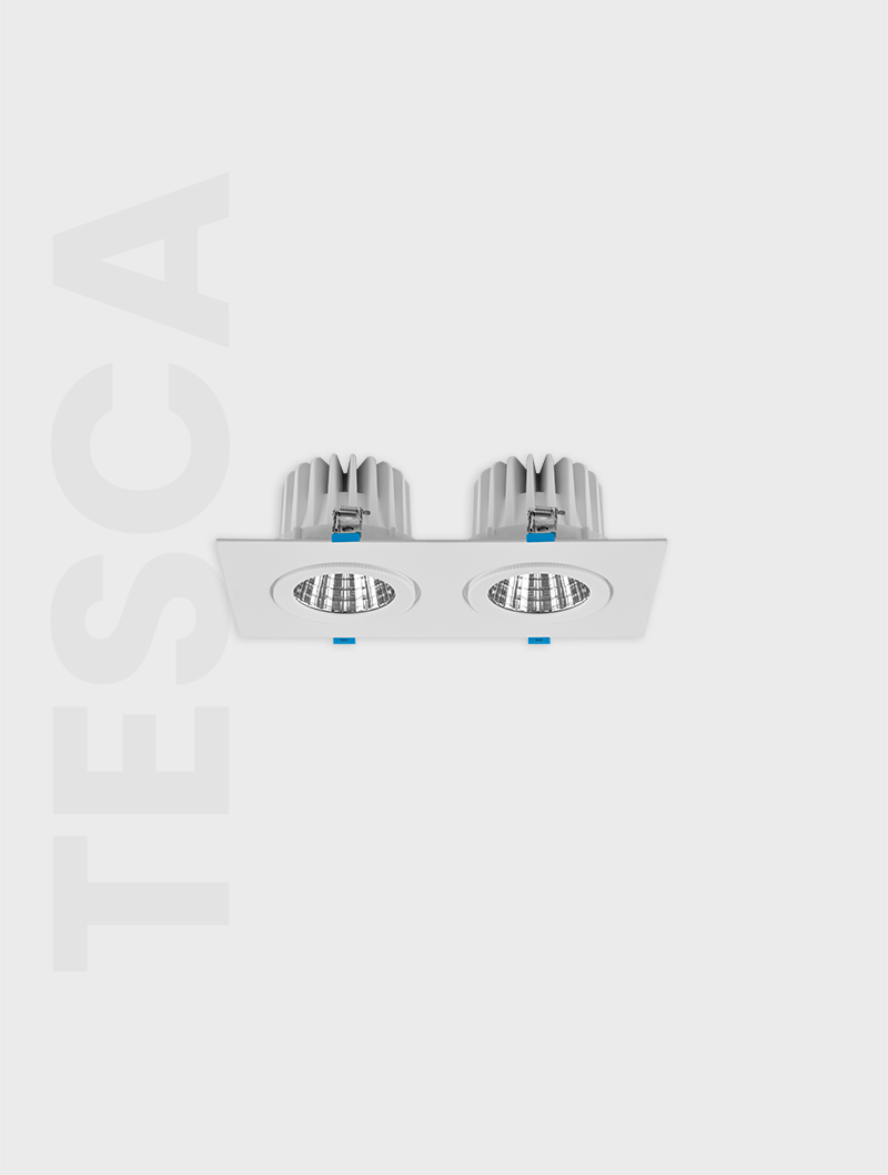 Masialux MD 101-2-85 Receessed Lighting Recessed Lighting armatürü