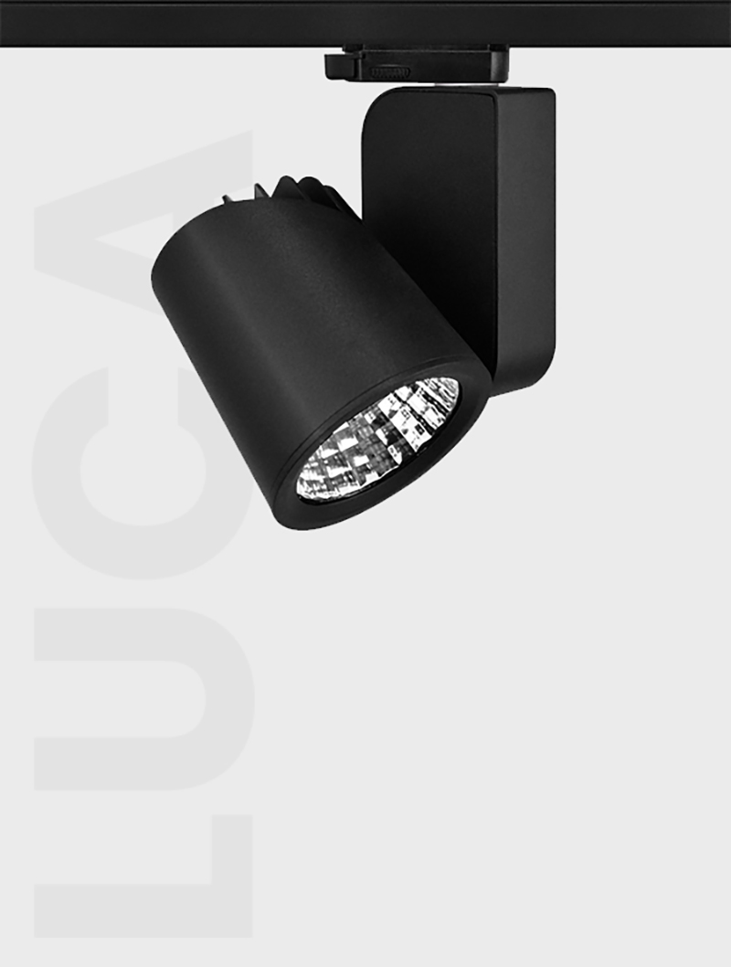 Masialux MR 1001 Ray Spot armatürü