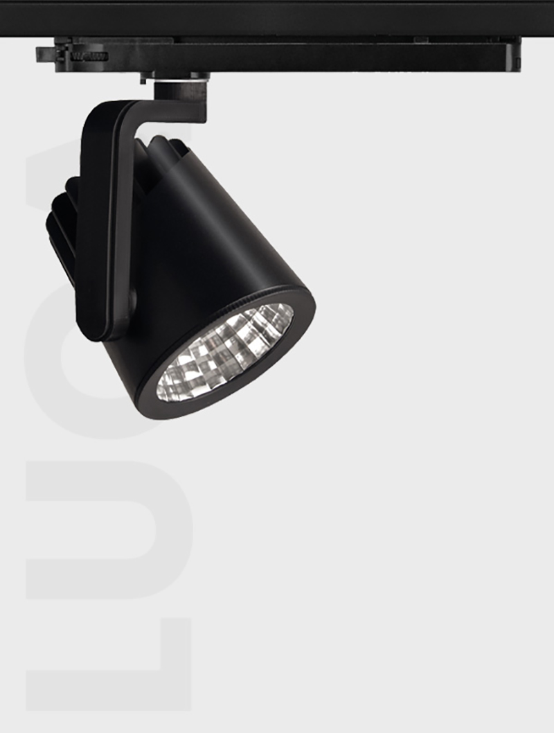 Masialux MR 1002 Ray Spot armatürü