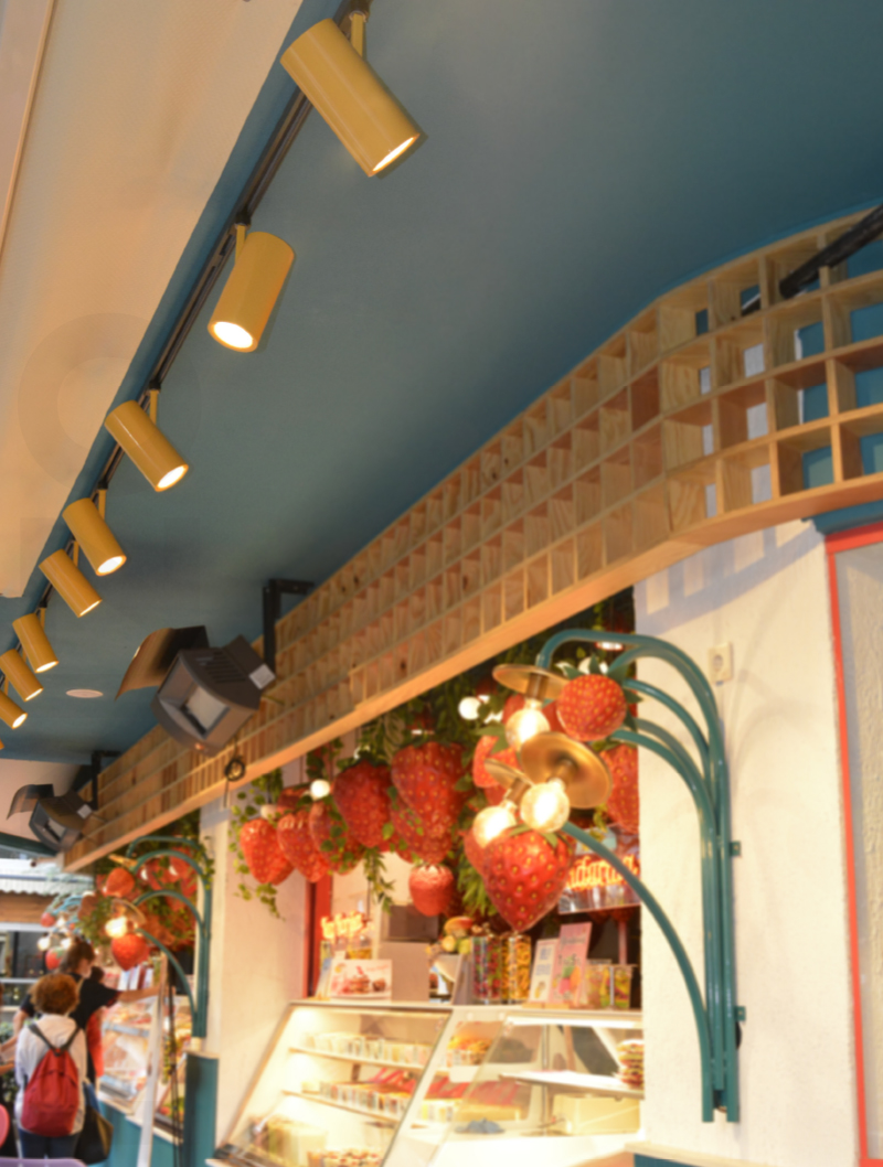 Masialux MR 1020-100 Track Spotlight Track Spotlight armatürü
