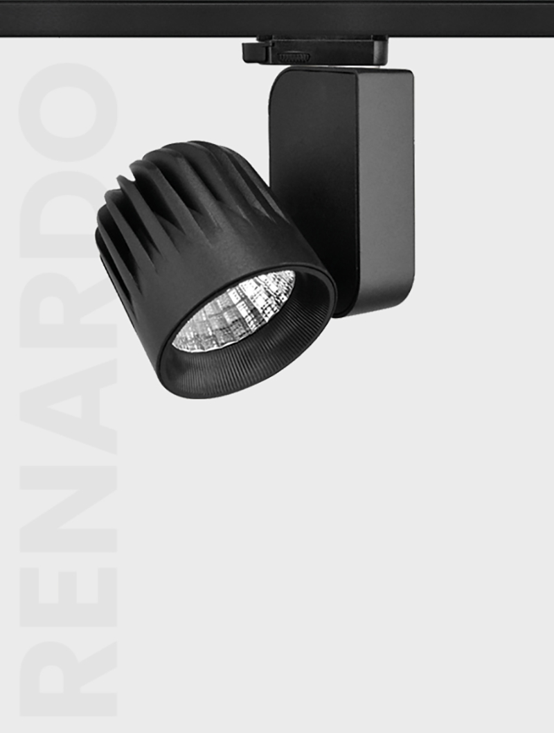 Masialux MR 601-100 Ray Spot armatürü