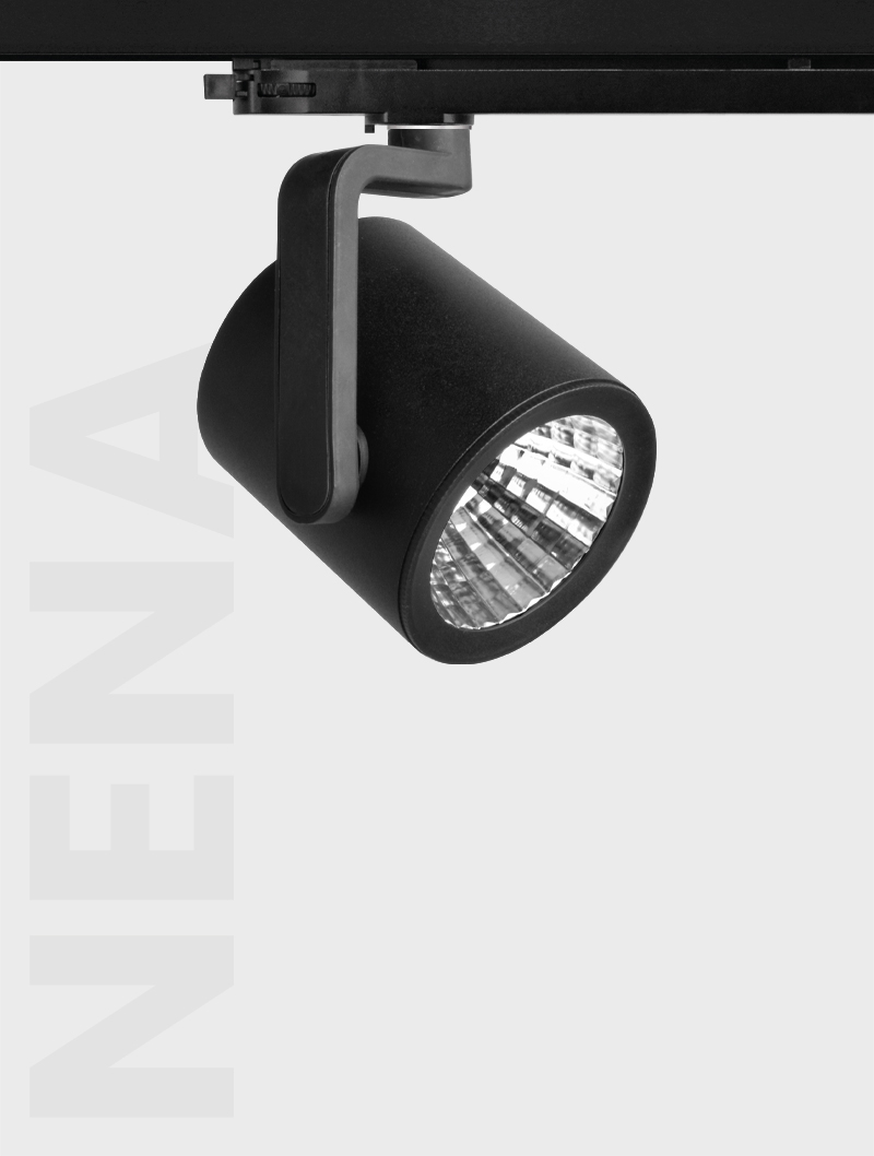 Masialux MR 802-100 Ray Spot armatürü