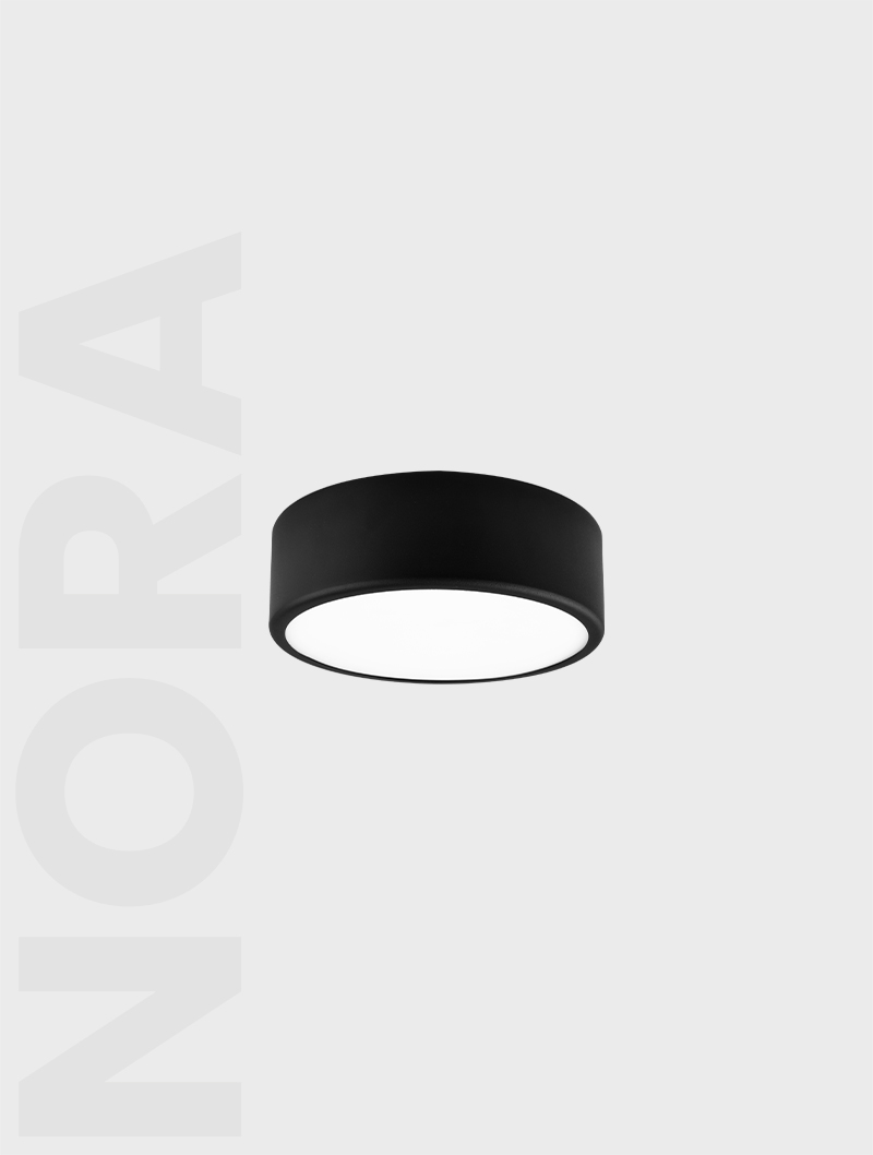 Masialux MS 500-2 Surface Mounted Lighting armatürü