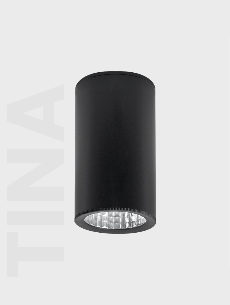 Masialux MS 605-100 Sıva Üstü Aydınlatma armatürü