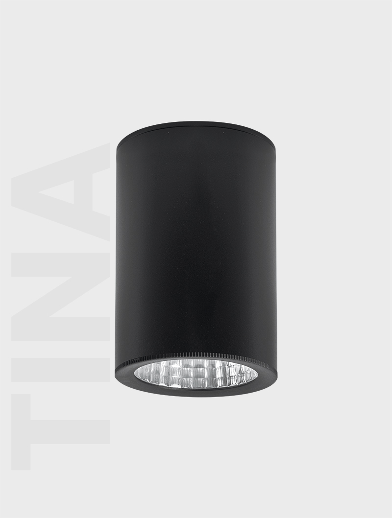 Masialux MS 605-118 Sıva Üstü Aydınlatma armatürü