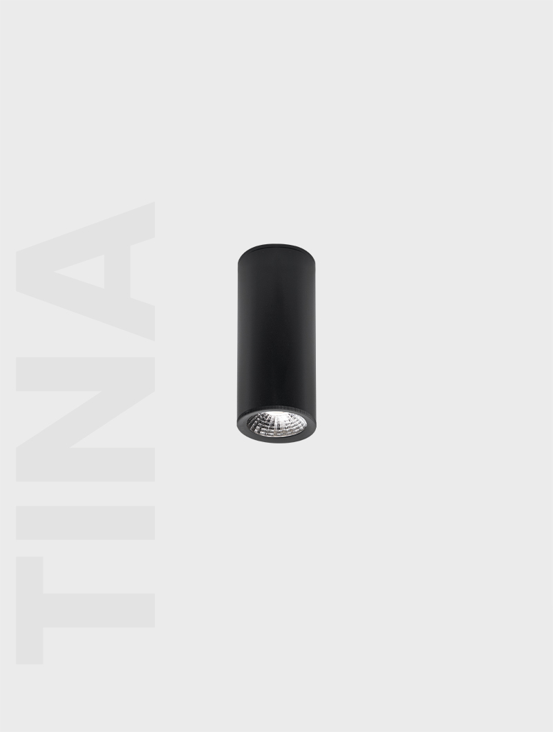 Masialux MS 605-60 Sıva Üstü Aydınlatma armatürü