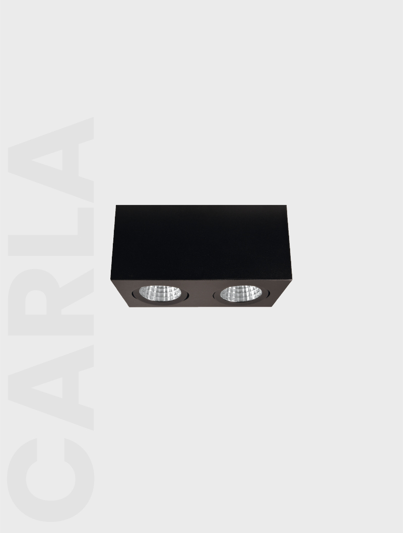 Masialux MS 612-2-100 Surface Mounted Lighting armatürü