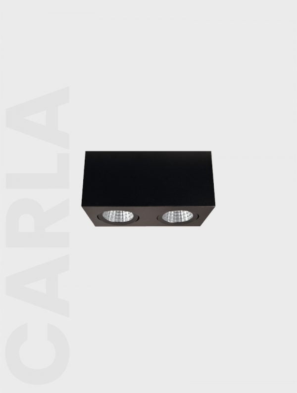 CARLA SERIES | MS 612-2-100 SURFACE MOUNTED
